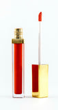 LUSH LIPGLOSS - Coral Queen - Love For Humanity Organics